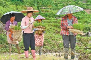 '广东阳江阳东区农村电商产业园负责人梁梅花—— 新农人打开新销路（人物故事·聚焦乡村创业）